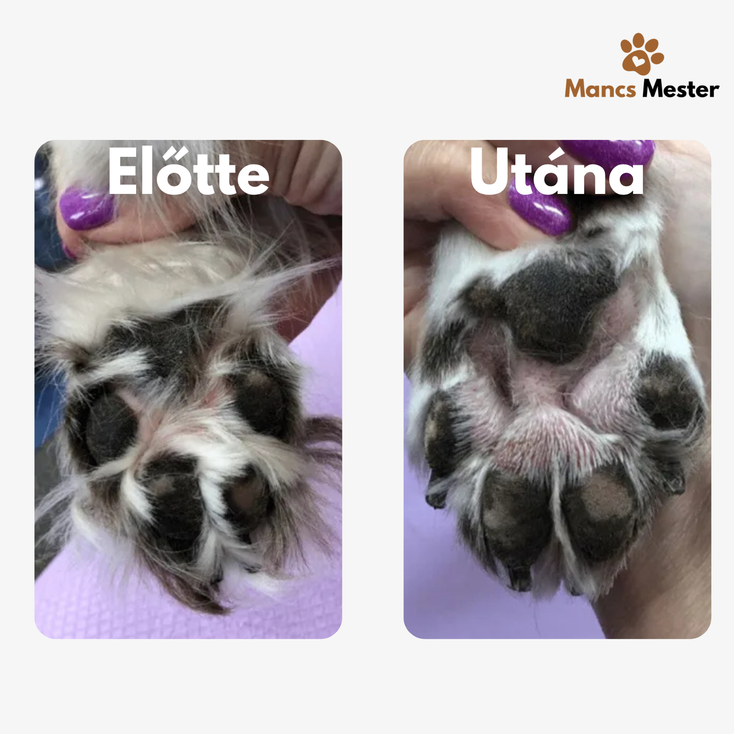 MancsMester™ Kisállat Trimmer